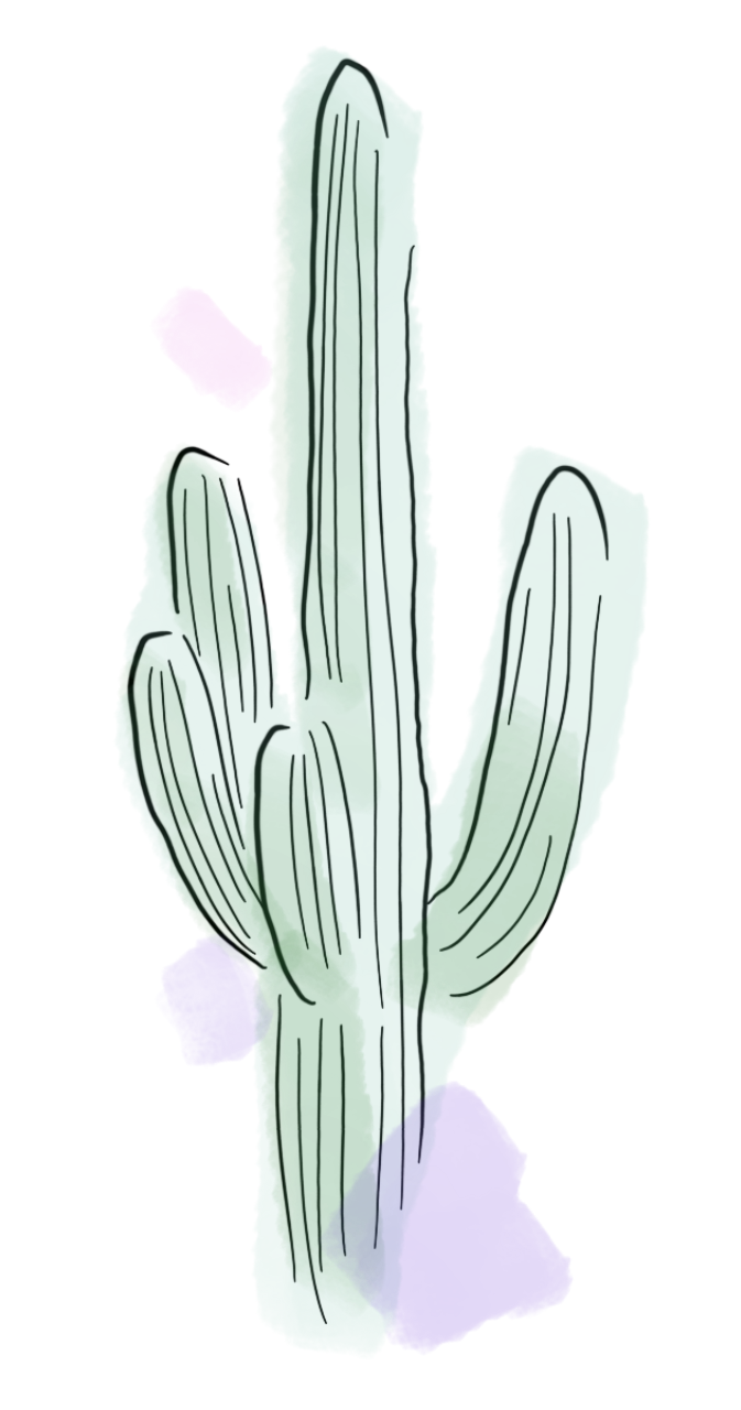 grande verdure cactus 1