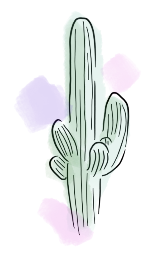 grande verdure cactus 2