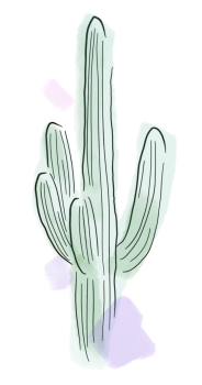 grande verdure cactus 1