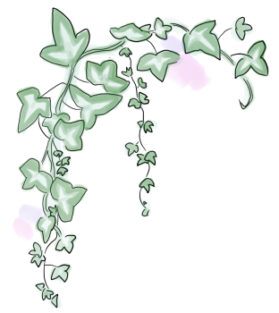 grande verdure lierre 2